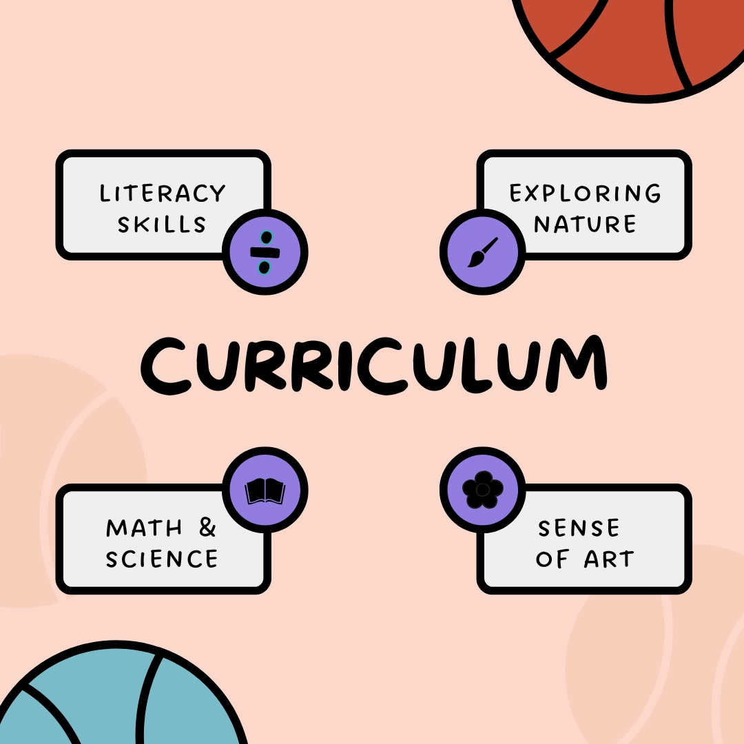 Branches Of Art In The Basic Education Curriculum